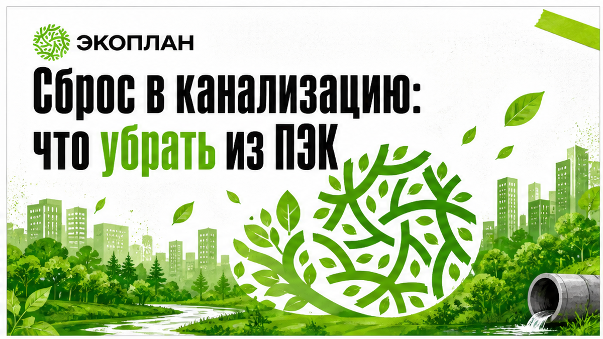 Иллюстрация: что убрать из водного подраздела ПЭК при сбросе в канализацию