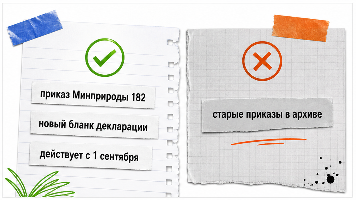 Сравнение нового бланка декларации о плате за НВОС и архивных приказов